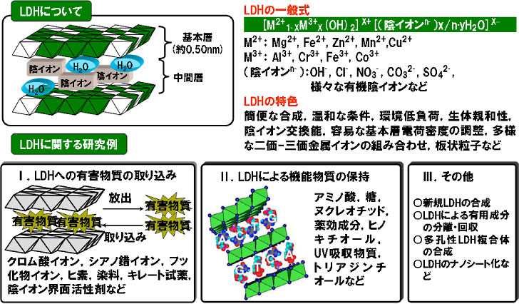 LDHについて