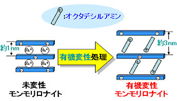 有機変性処理