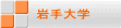 岩手大学