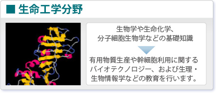 生命工学分野