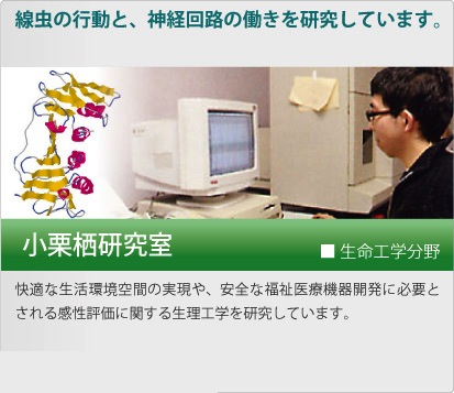 小栗栖研究室