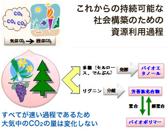 資源利用過程